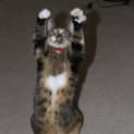 Photo of Zena