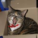 Photo of Zena