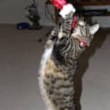 Photo of Zena