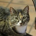 Photo of Zena
