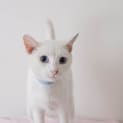 Photo of Lily