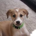 Photo of Theo