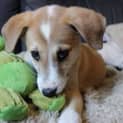 Photo of Theo
