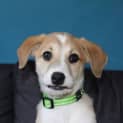 Photo of Theo