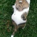 Photo of Meg
