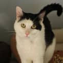 Photo of Milky