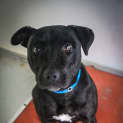 Photo of Mack ~ #1501900