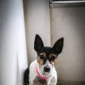 Photo of Missie ~ #1501924