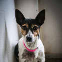 Photo of Missie ~ #1501924