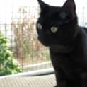 Photo of Wanda