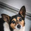 Photo of Ned ~ #1501962