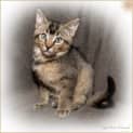 Photo of Surria