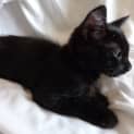 Photo of Tess