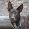 Photo of Jaffa