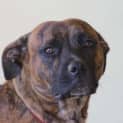 Photo of Roxy