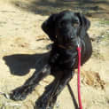 Photo of Gunter