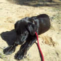 Photo of Gunter