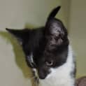 Photo of Twix