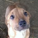 Photo of Binky