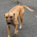 Photo of Buddy #1944