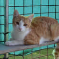 Photo of Mervin