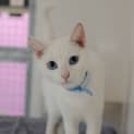 Photo of Lily