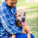 Photo of Brandy ~ #1500461