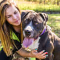 Photo of Bruiser ~ #1500354
