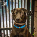 Photo of Fallon ~ #1502082