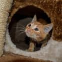 Photo of Elroy