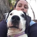 Photo of Amelia
