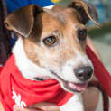 Photo of Ollie Dl466