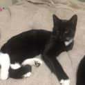Photo of Princess