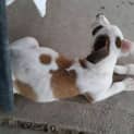 Photo of Max