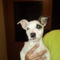 Photo of Max
