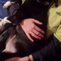 Photo of Willow