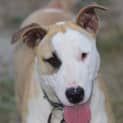 Photo of Bertha