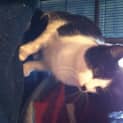 Photo of Dude