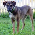 Photo of Storm ~ Medium Mixed ~(On Trial 16/5/15)