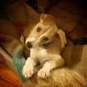 Photo of ** No More Applications Please ** Astro