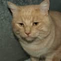 Photo of Pablo