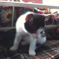 Photo of Reggie