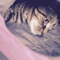 Photo of Bobbi