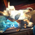 Photo of Max