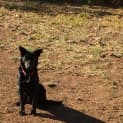 Photo of Boots