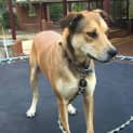 Photo of Tia