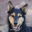 Photo of Jasper