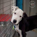 Photo of Drax