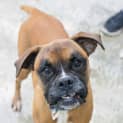 Photo of Tia