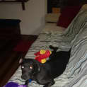 Photo of Mr Chipps